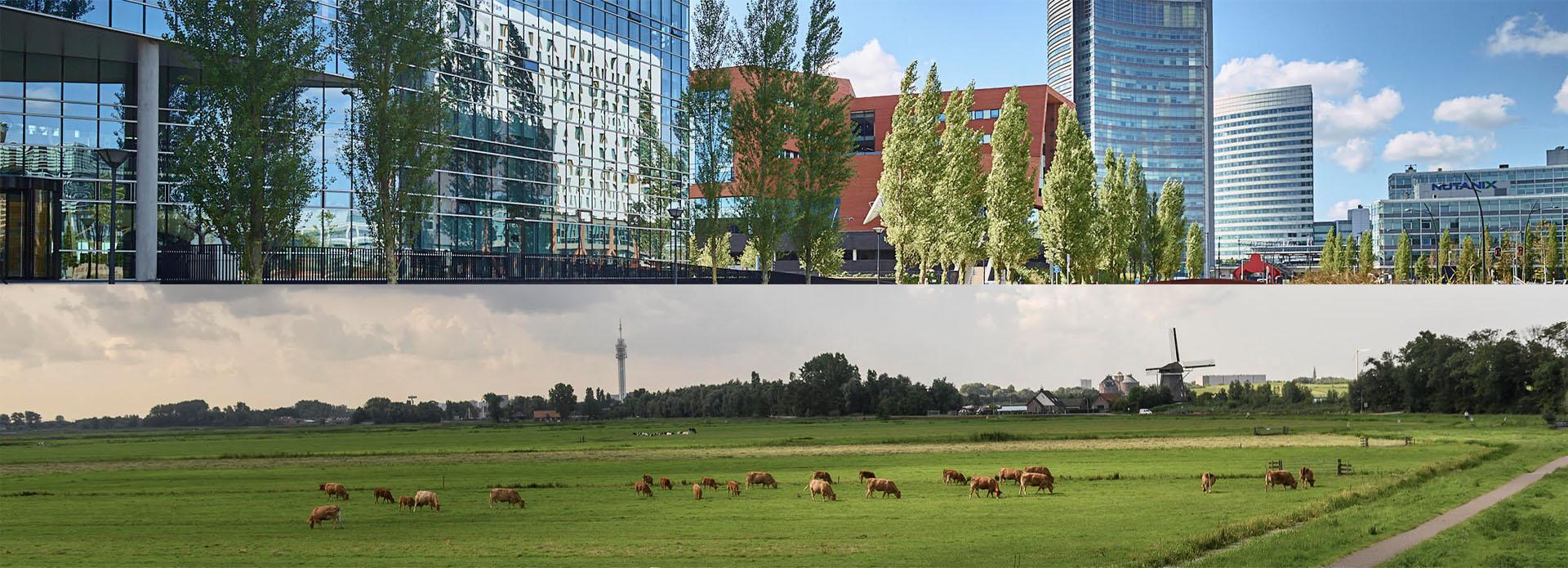 Urban office buildings and a green countryside in Amsterdam Airport City