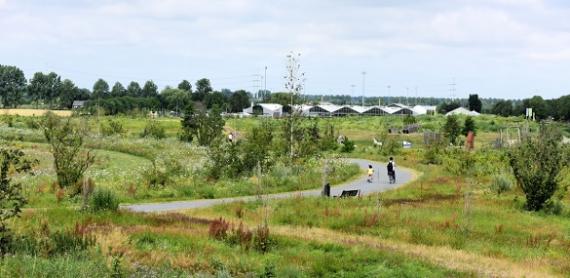 Impression of green area PARK21 in Amsterdam Airport City