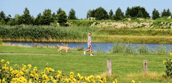 Woman airing her dog in green area in Amsterdam Airport City