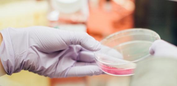 Hand of employee holding a small sample in a laboratory